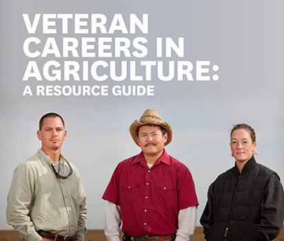 Veteran Careers